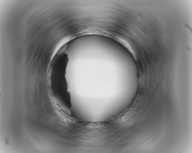 X0000095911146200802011145