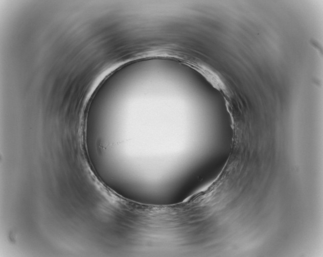 X0000095911148200802011145