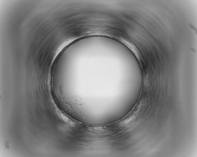 X0000095911149200802011145