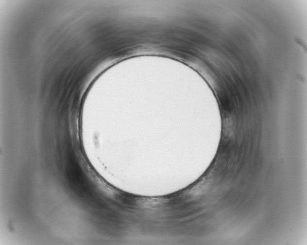 X0000095911150200802011145