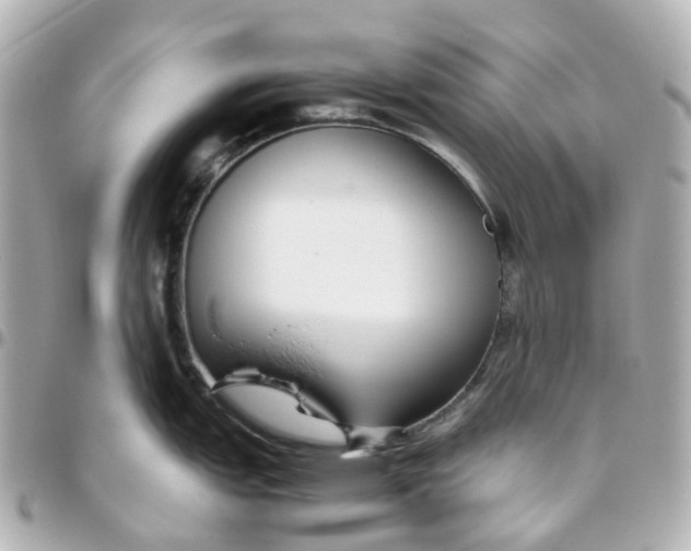 X0000095911151200802011145