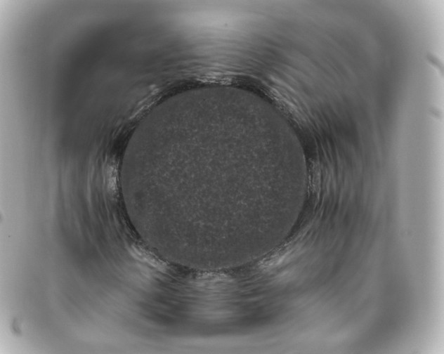 X0000095911154200802011144