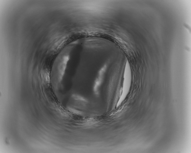 X0000095911155200802011144