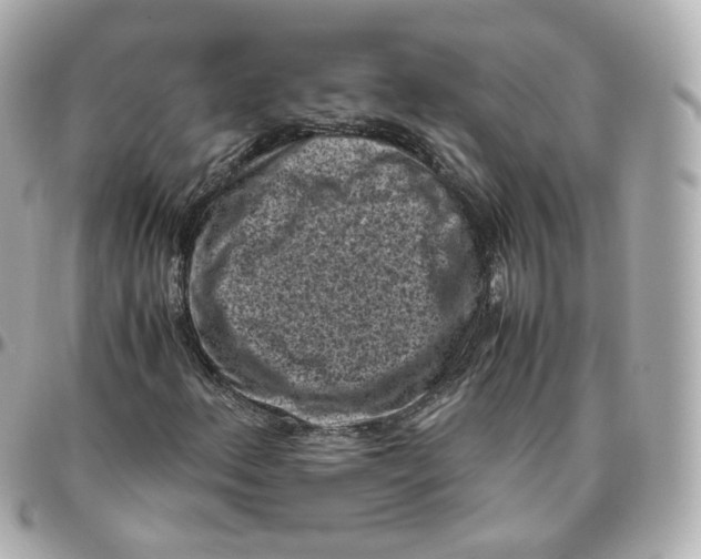 X0000095911156200802011144