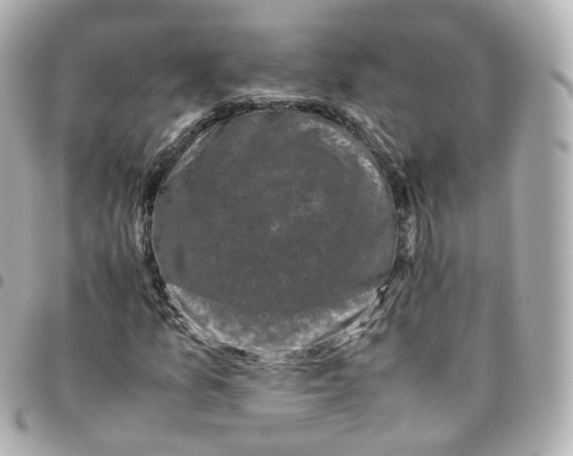 X0000095911157200802011144