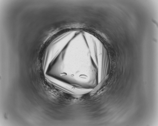 X0000095911160200802011144