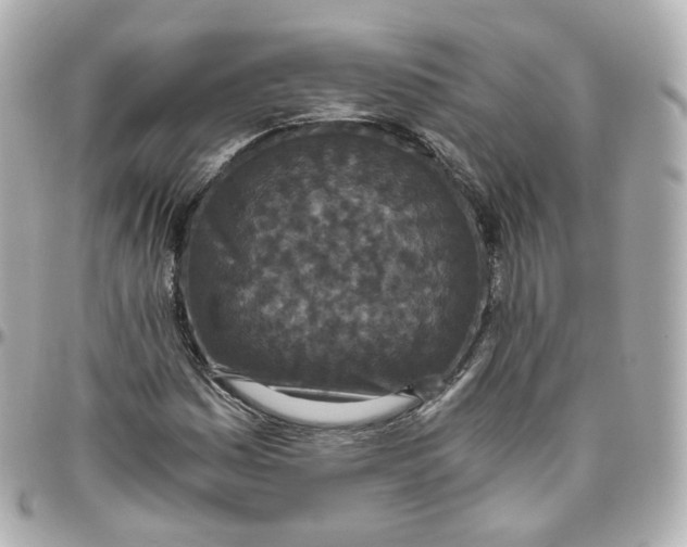 X0000095911161200802011144