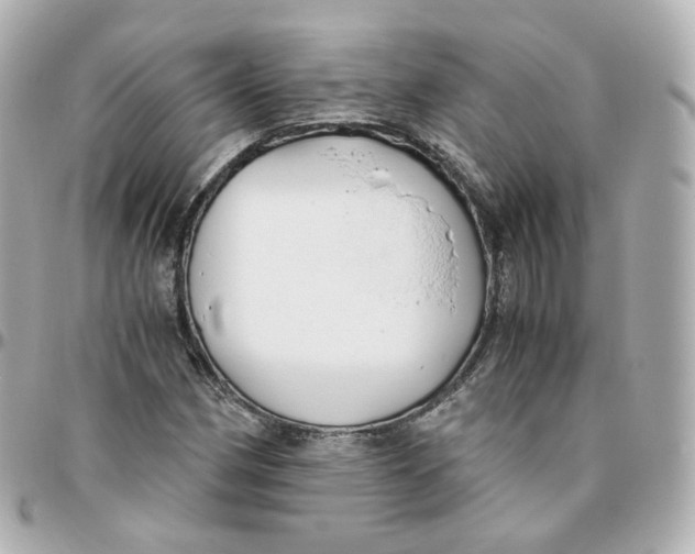 X0000095911162200802011144