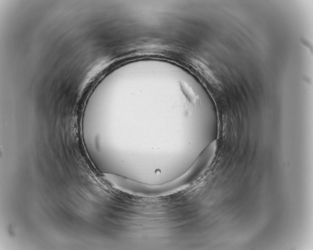 X0000095911164200802011144