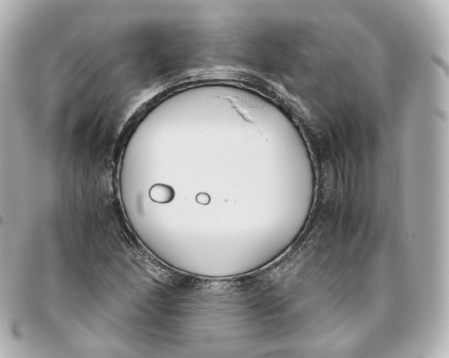 X0000095911166200802011144