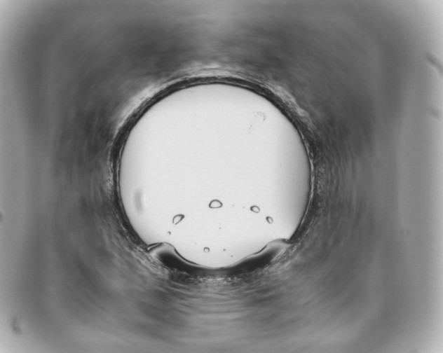 X0000095911167200802011144