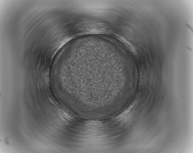 X0000095911170200802011144