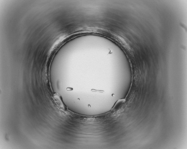 X0000095911172200802011144