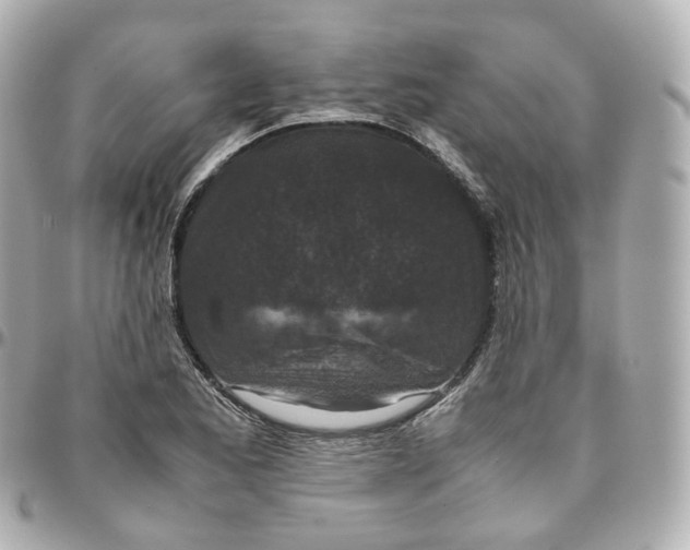 X0000095911173200802011144