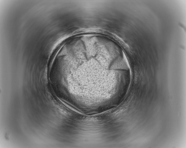 X0000095911174200802011144