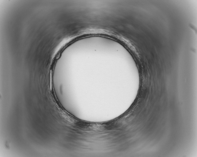 X0000095911175200802011144