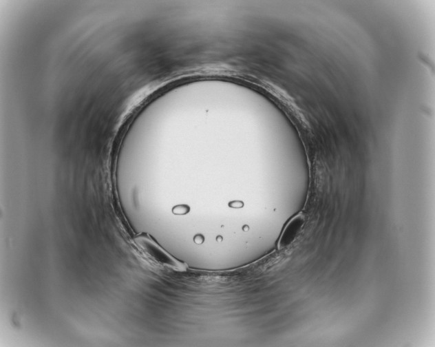 X0000095911176200802011144