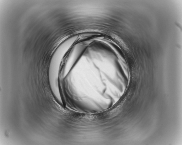 X0000095911177200802011144