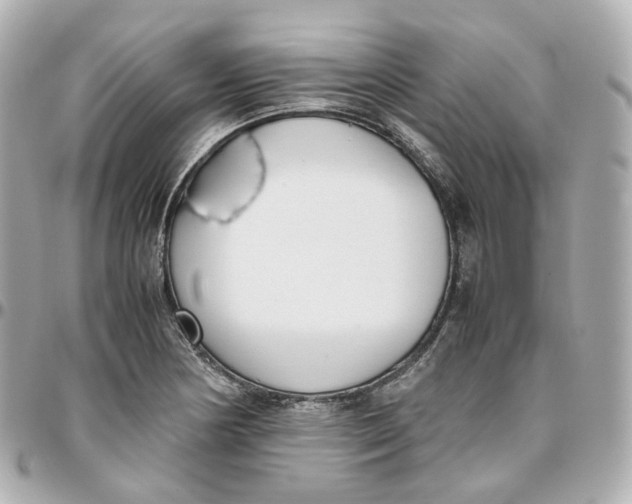 X0000095911178200802011144