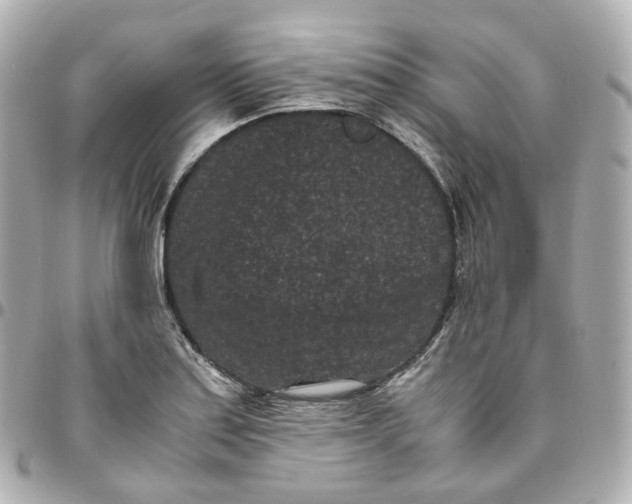 X0000095911179200802011144