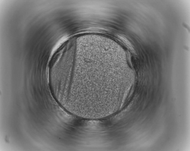 X0000095911180200802011144