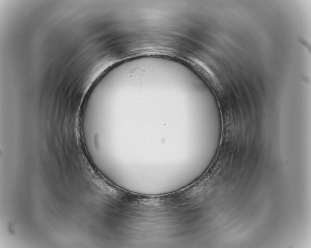 X0000095911182200802011144