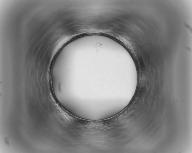 X0000095911183200802011144