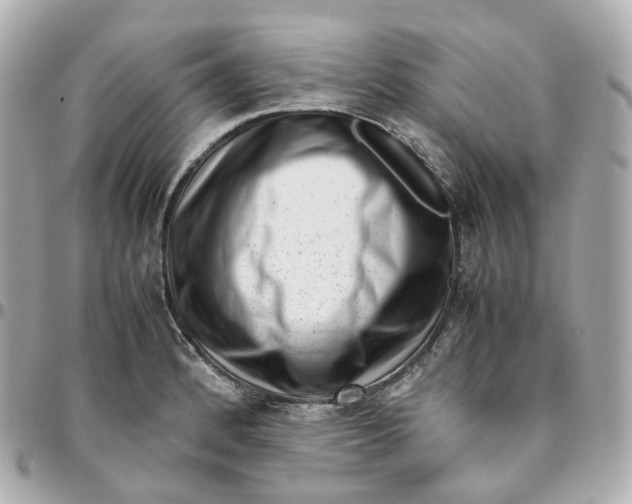 X0000095911184200802011144