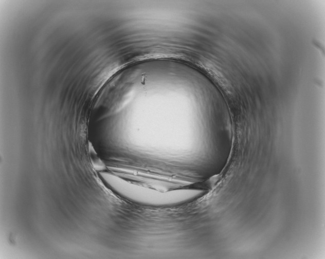 X0000095911185200802011144