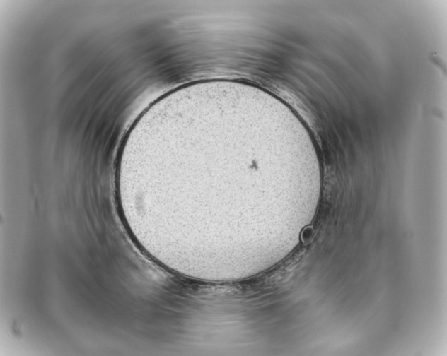 X0000095911187200802011144