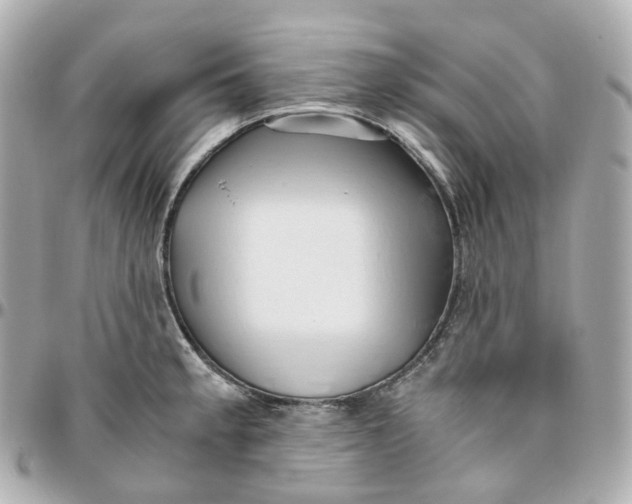 X0000095911189200802011144