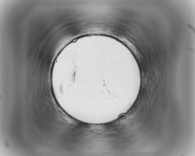 X0000095911191200802011144