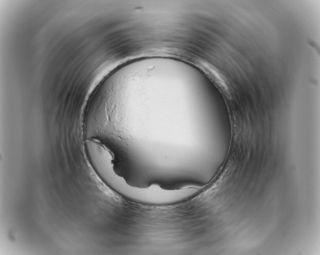 X0000095911192200802011144