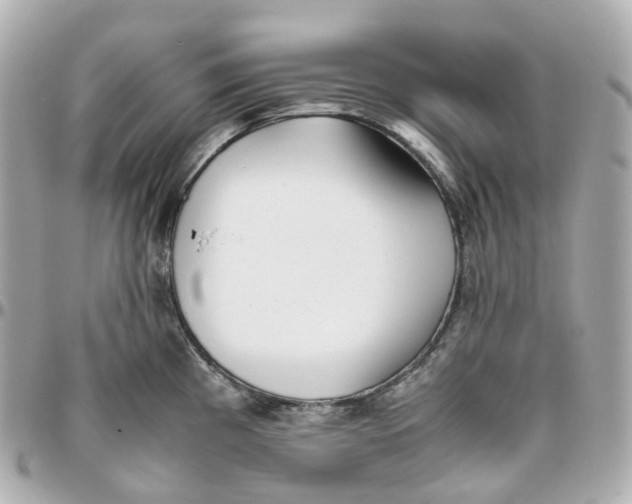 X0000095911193200802011144