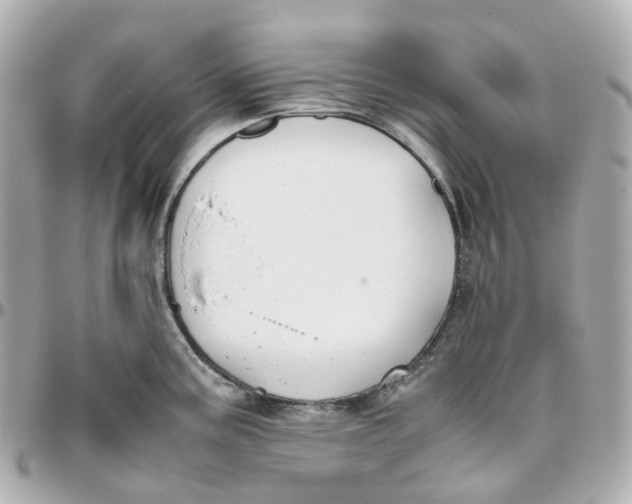 X0000095911195200802011143