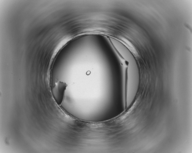 X0000095911196200802011143