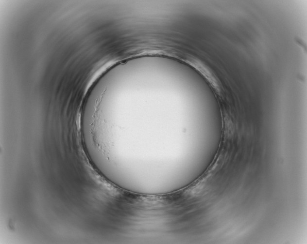 X0000095911198200802011143