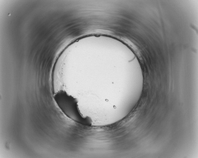 X0000095911199200802011143