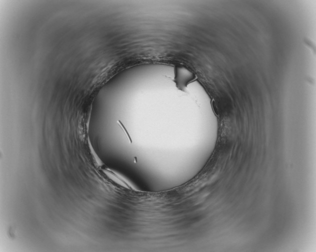 X0000095911202200802011143