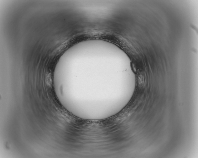 X0000095911204200802011143