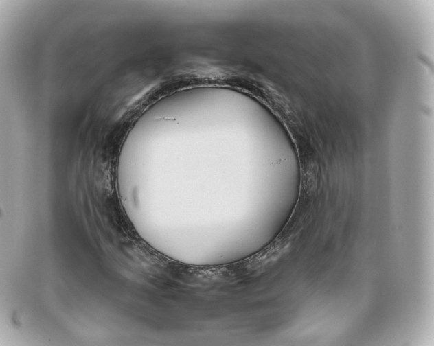 X0000095911205200802011143