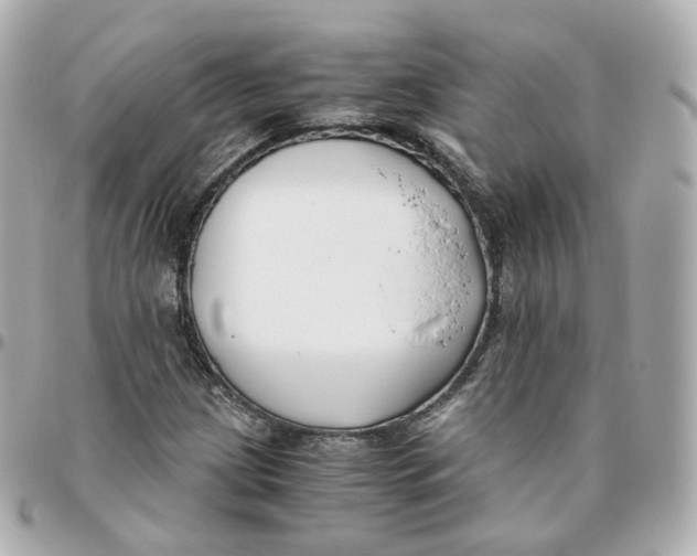 X0000095911209200802011143