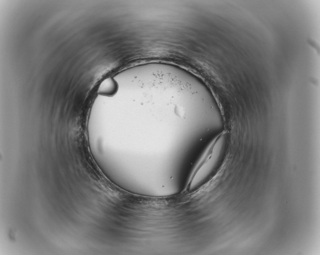 X0000095911210200802011143