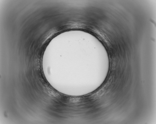 X0000095911211200802011143