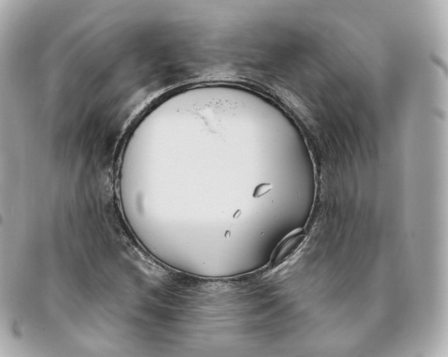 X0000095911212200802011143