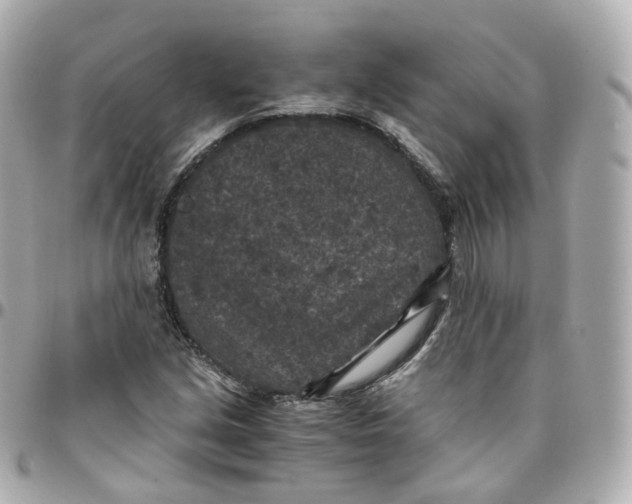 X0000095911213200802011143