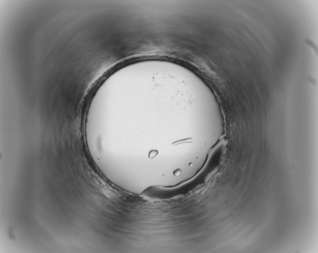 X0000095911216200802011143