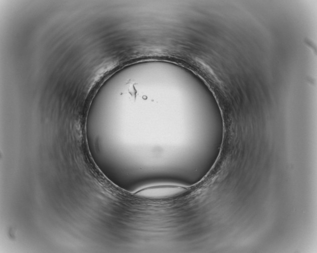 X0000095911218200802011143