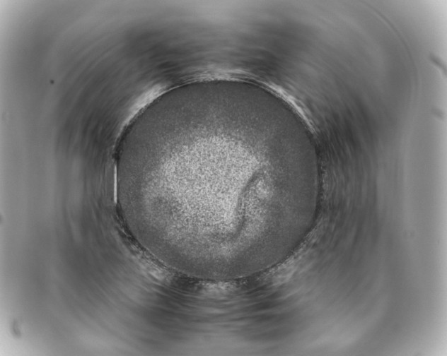 X0000095911219200802011143