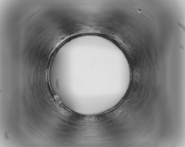 X0000095911220200802011143